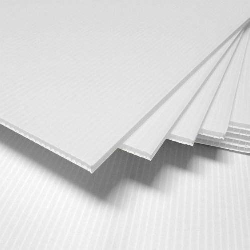 White Coroplast Blank